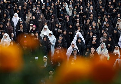 تسنيم،282،1404