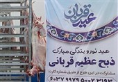 فعالیت 20 مکان ذبح دام قربانی در استان بوشهر