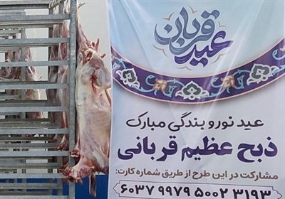دام،دامپزشكي،ذبح،استان،بوشهر،گوشت،بيماري،قربان،شرعي،امداد،عي ...