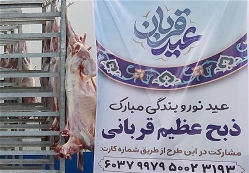 فعالیت ۲۰ مکان ذبح دام قربانی در استان بوشهر