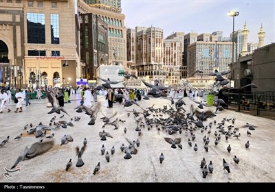 حج 1404
