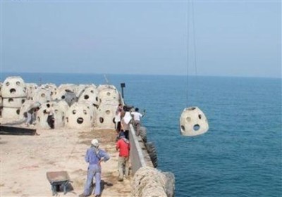 مصنوعي،شيلات،ايجاد،استان،غيرمجاز،طرح،بوشهر،ذخاير،هدف،آبزيان، ...