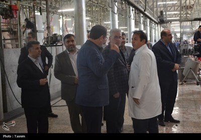 نمایی از قربانی و ذبح دام در عید قربان قزوین