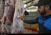 ذبح بیش از 12 هزار رأس دام عید قربان در خراسان رضوی