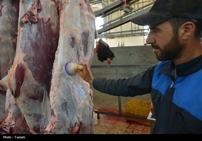 دام،دامپزشكي،كشتارگاه،استان،ذبح،قربان،عيد،بهداشتي،معاينه،راس ...