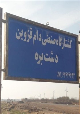نمایی از قربانی و ذبح دام در عید قربان قزوین