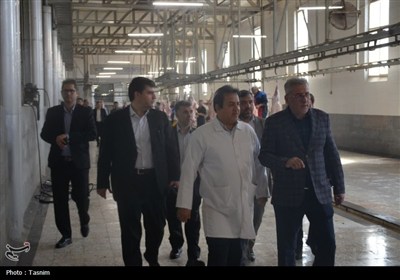 نمایی از قربانی و ذبح دام در عید قربان قزوین