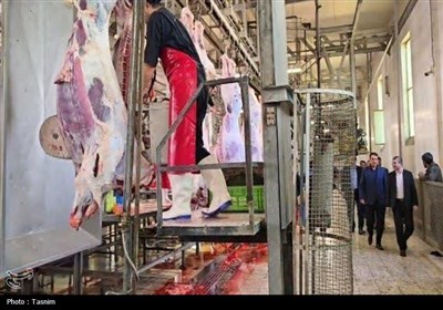 نمایی از قربانی و ذبح دام در عید قربان قزوین