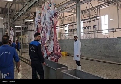 نمایی از قربانی و ذبح دام در عید قربان قزوین