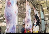 نظارت 35 گروه دامپزشکی بر ذبح دامهای نذری در کرمانشاه