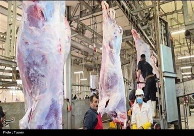 رأس،استان،دامپزشكي،دام،كشتار،نظارت،كشتاري،بندرعباس،هرمزگان،شرعي