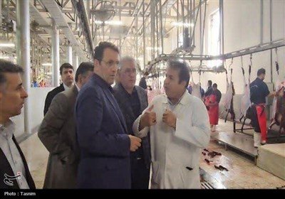 نمایی از قربانی و ذبح دام در عید قربان قزوین
