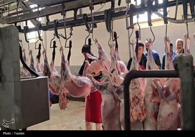 نمایی از قربانی و ذبح دام در عید قربان قزوین