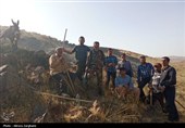 اطفا حریق مراتع قزوین+تصاویر