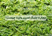 اسپیرولینا، جلبکی باستانی با خواصی بی نظیر و آینده ای درخشان