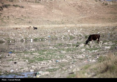 آلودگی رودخانه قره سو در کرمانشاه