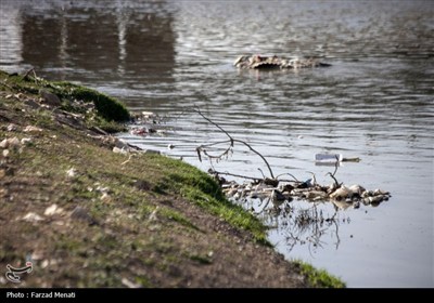 آلودگی رودخانه قره سو در کرمانشاه