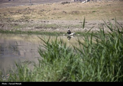 آلودگی رودخانه قره سو در کرمانشاه