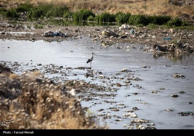 آلودگی رودخانه قره سو در کرمانشاه