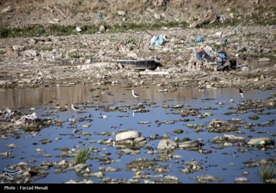 آلودگی رودخانه قره سو در کرمانشاه