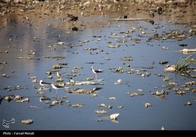 آلودگی رودخانه قره سو در کرمانشاه