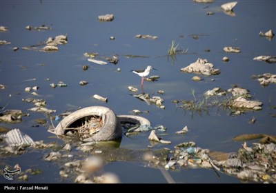 آلودگی رودخانه قره سو در کرمانشاه