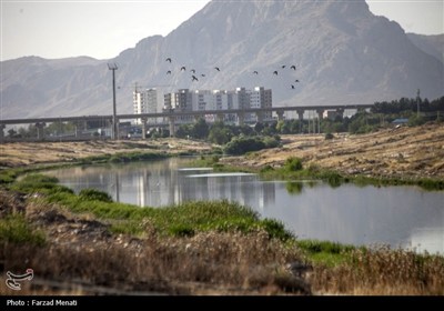 آلودگی رودخانه قره سو در کرمانشاه