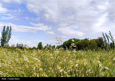 Весенняя природа Ирана - город Арак