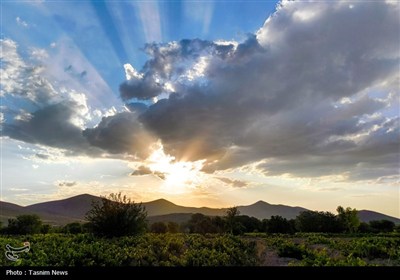 Весенняя природа Ирана - город Арак