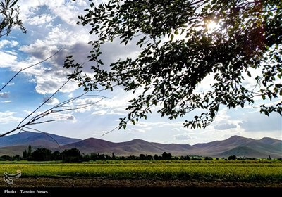 Весенняя природа Ирана - город Арак