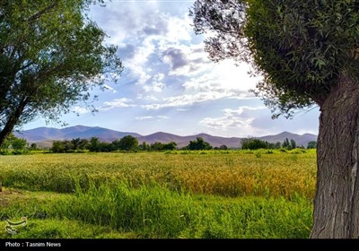 Весенняя природа Ирана - город Арак