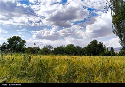 Весенняя природа Ирана - город Арак