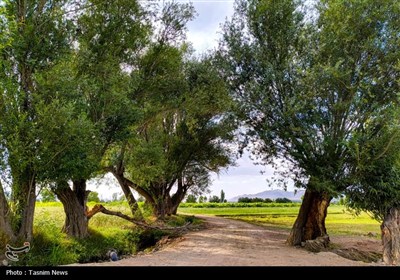 Весенняя природа Ирана - город Арак