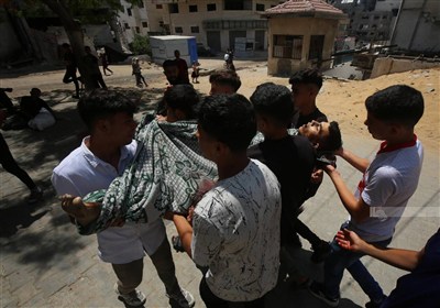 غزه،غيرنظاميان،فلسطيني،صهيونيستي،توزيع،مركز،نفر،سازمان،رفح،ن ...