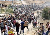 شهادت 516 فلسطینی در صفوف انتظار کمکها