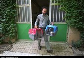 رهاسازی پرندگان شکاری تیمار شده در  طبیعت-همدان