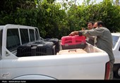 رهاسازی پرندگان شکاری تیمار شده در  طبیعت-همدان