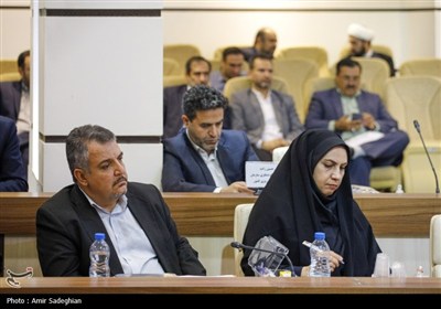 نشست کمیسیون تخصصی کارگروه ملی زیارت در حرم شاهچراغ (ع)