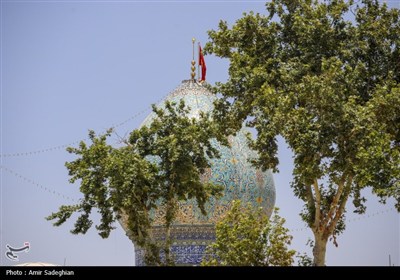 نشست کمیسیون تخصصی کارگروه ملی زیارت در حرم شاهچراغ (ع)