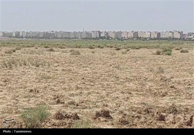 تهران،اتوبان،خودروي،كشاورزي،تسنيم،بهارستان،حريم،سواري