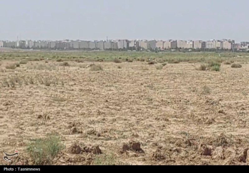  گزارش| زخم آرامستان جدید تهران بر قلب کشاورزی نسیم‌شهر+فیلم 