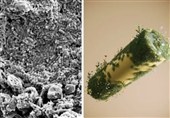 Iranian Scientists Help Develop Dissolvable Eco-Friendly Battery