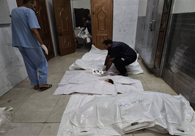 غزه،نوار،فلسطيني،پزشكي،زخمي،شهادت،مركز،بيمارستان،جنوب،كودكان ...