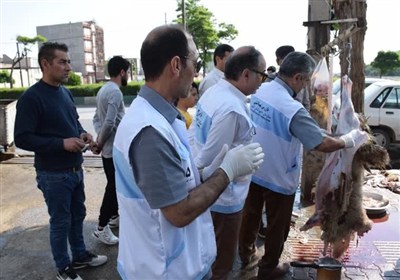 بهداشتي،دامپزشكي،دامي،اردبيل،دام،لاشه،قرباني،گوشت،قالب