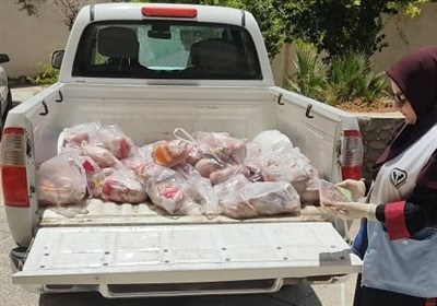 دامپزشكي،گوشت،نگهداري،بلوچستان،سيستان،بهداشتي،مراكز،عرضه،مصر ...