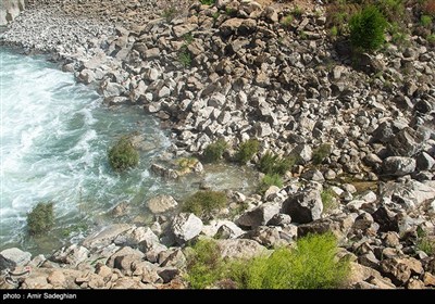رهاسازی حق‌آبه تالاب بختگان از سد درودزن