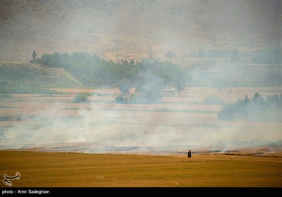 رهاسازی حق‌آبه تالاب بختگان از سد درودزن