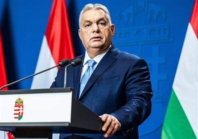 تسنیم