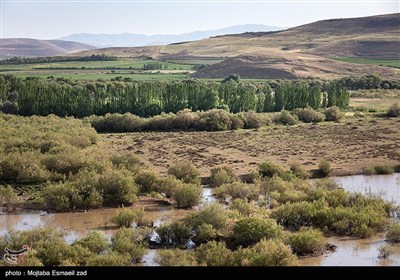 Заповедная зона водно-болотных угодий Новрузлоо в Миандоабе