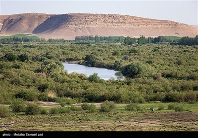 Заповедная зона водно-болотных угодий Новрузлоо в Миандоабе